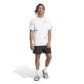 ADIDAS Herren Shorts Essentials Small Logo Chelsea S in Grau