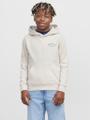 JJEBRANDES BACKP RELAXED SWEAT H SN JNR Grau 176