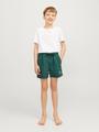 JPSTFIJI JJSWIM WB LY SN JNR 152 Normal geschnitten - Dark Green