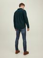 JJIGLENN JJCOLE JOS 379 SN 28/32 Slim Fit - Blue Denim
