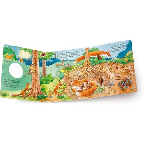 Arena Verlag Entdecke die Tiere: Der kleine Fuchs