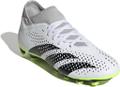 ADIDAS Herren Fussball-Rasenschuhe PREDATOR ACCURACY.4 S FxG 44 ⅔ in Grau