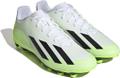 ADIDAS Herren Fussball-Rasenschuhe X CRAZYFAST.4 FxG 43 ⅓ in Grau