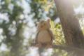Kuscheltier Eule "Forest Friends"