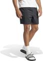 ADIDAS Herren Shorts Essentials Small Logo Chelsea S in Grau