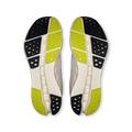 ON Herren Laufschuhe Cloudsurfer 2 44 in Grau