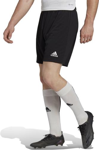 ADIDAS Herren Teamhose ENT22 SHO L in Schwarz