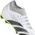 ADIDAS Herren Fussball-Rasenschuhe PREDATOR ACCURACY.4 S FxG 44 ⅔ in Grau