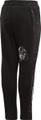 ADIDAS Kinder Sporthose DY 116 in Schwarz