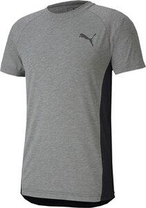 PUMA Lifestyle - Textilien - T-Shirts Evostripe Tee T-Shirt L in Grau