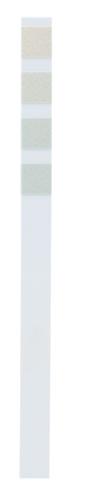 WMF Perfection Entkalker
