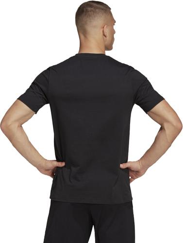 ADIDAS Herren Fanshirt Entrada 22 (normal & lang) M in Schwarz