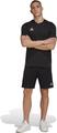 ADIDAS Herren Fanshirt Entrada 22 (normal & lang) L in Schwarz