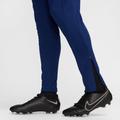 M NK DF ACD25 PANT KPZ BR