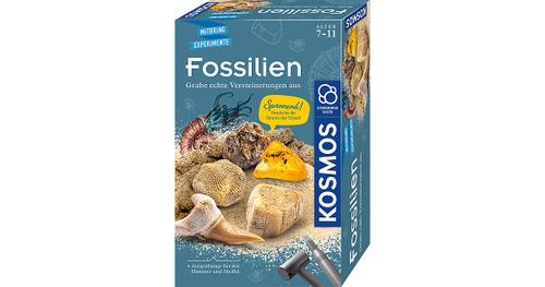 Ausgrabungs-Set Fossilien