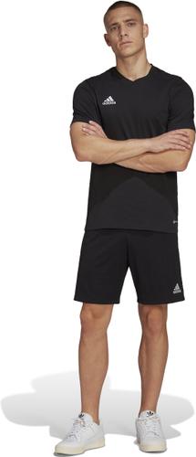 ADIDAS Herren Fanshirt Entrada 22 (normal & lang) L in Schwarz