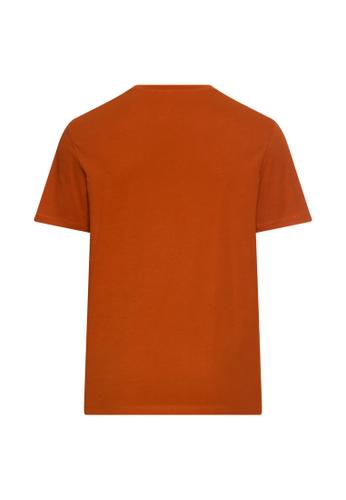 T-Shirt aus reiner Baumwolle L Regular Fit - Cinnamon