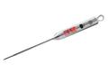 Thermometer digital 'BBQ'