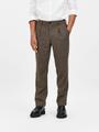SLHREG-TROY TRS W 56 - Brownie