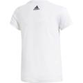 ADIDAS Kinder T-Shirt Iconic 170 in Grau