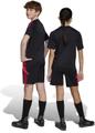 ADIDAS Kinder Shorts Tiro 24 Kids 164 in Schwarz