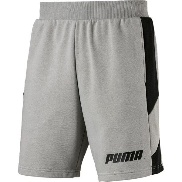 PUMA Herren Shorts Rebel Shorts 9` TR L in Grau
