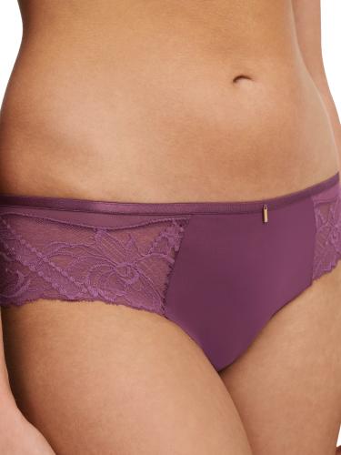 Orangerie Dream Shorty 38 - Tannin