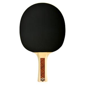 Donic Schildkröt Tischtennisschläger „Champs Line 300 FSC“