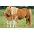 Schmidt Spiele - Puzzle - Puzzle-Box im Metallkoffer - Pferde, 2x26, 2x48 Teile