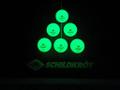 DONIC SCHILDKRÖT TT-Ball GLOW IN THE DARK POLY 40+, 6 Stück - in Schwarz