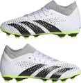 ADIDAS Herren Fussball-Rasenschuhe PREDATOR ACCURACY.4 S FxG 47 ⅓ in Grau