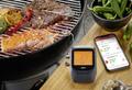Gefu Grill- und Bratenthermometer Control Bluetooth 1 Kanal - Default Title