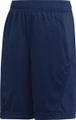 adidas Jungen Training Equipment Shorts 110 in Blau