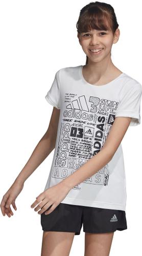 ADIDAS Kinder T-Shirt Iconic 170 in Grau