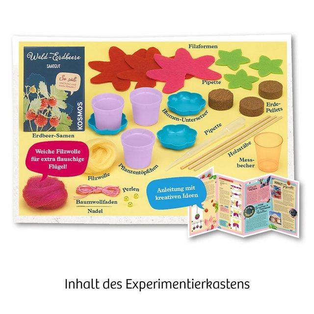 Kosmos Spiel, »Feen-Erdbeeren«