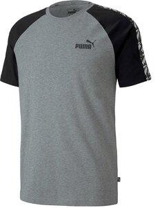 PUMA Herren Shirt AMPLIFIED Raglan L in Grau