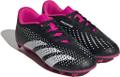 ADIDAS Kinder Fussball-Rasenschuhe PREDATOR ACCURACY.4 FxG J 36 ⅔ in Schwarz