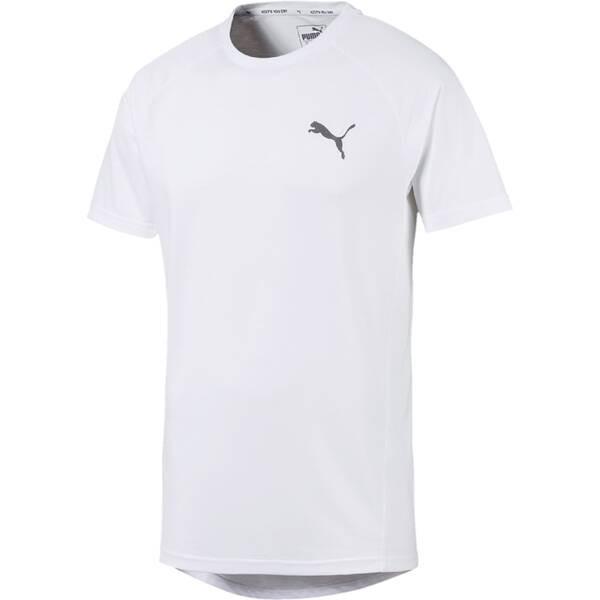 PUMA Herren T-Shirt Evostripe Tee S in Pink