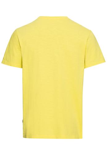 T-Shirt mit Print aus nachhaltigem Organic Cotton M Regular Fit - Lemon Grass