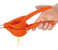 Orangenpresse ARANCIA