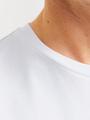 JJTEX TEE SS CREW NECK L Normal geschnitten - White
