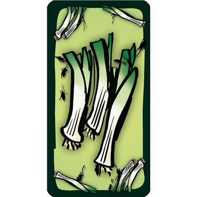 Drei Magier Spiele - Kakerlakensuppe