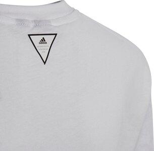 adidas Jungen Must Haves T-Shirt 128 in Grau