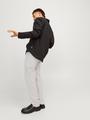JPSTACE SUMMER LINEN BLEND CHINO PANT SN 34/32 Verjüngt - Crockery