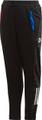 ADIDAS Kinder Sporthose DY 116 in Schwarz