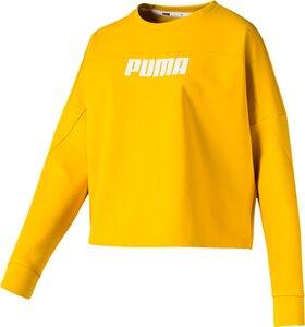 PUMA Damen Sweatshirt NU-TILITY Cropped Crew Sweat M in Gold