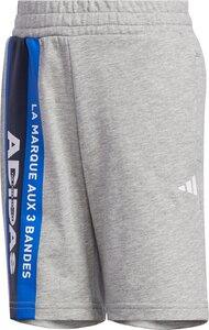 ADIDAS Kinder Shorts LB UR 122 in Silber