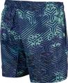 ARENA Herren Badeshorts MEN'S BEACH SHORT ALLOVER M in Bunt