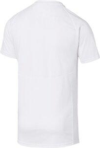 PUMA Herren T-Shirt Evostripe Tee M in Pink