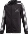 ADIDAS Kinder Kapuzensweat A AAC 128 in Schwarz